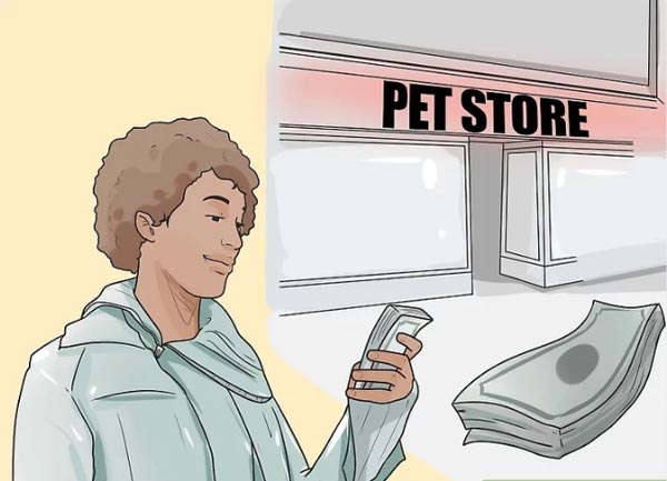 Bỏ túi 6 kinh nghiệm mở pet shop cửa hàng thú cưng  Vua Nệm